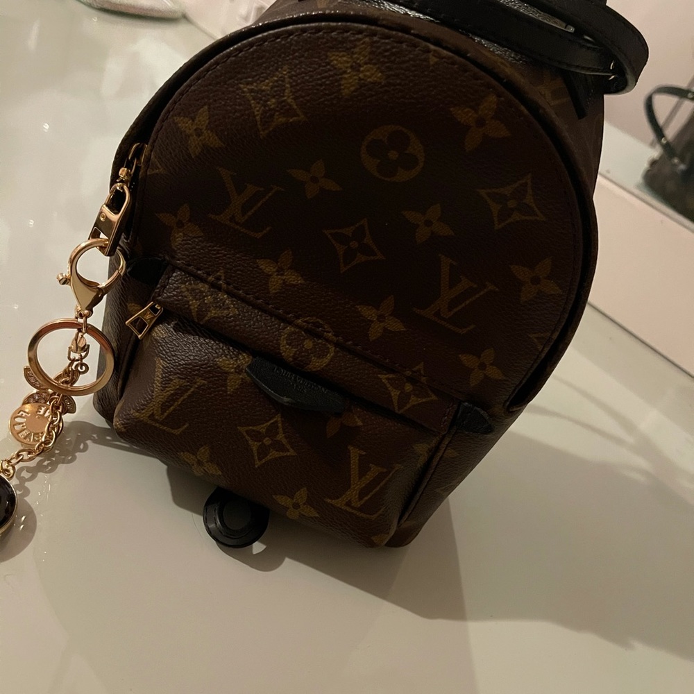 Authentic Louis Vuitton mini Palm Springs